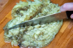 mütebbel