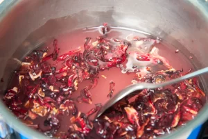 berry hibiscus